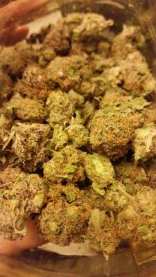 DankMedz's profile picture. 