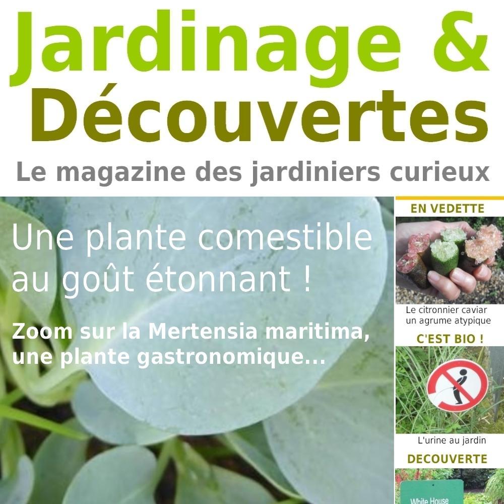 Le magazine des jardiniers curieux ! Au programme découvertes végétales, jardin et design, garden lifestyle...