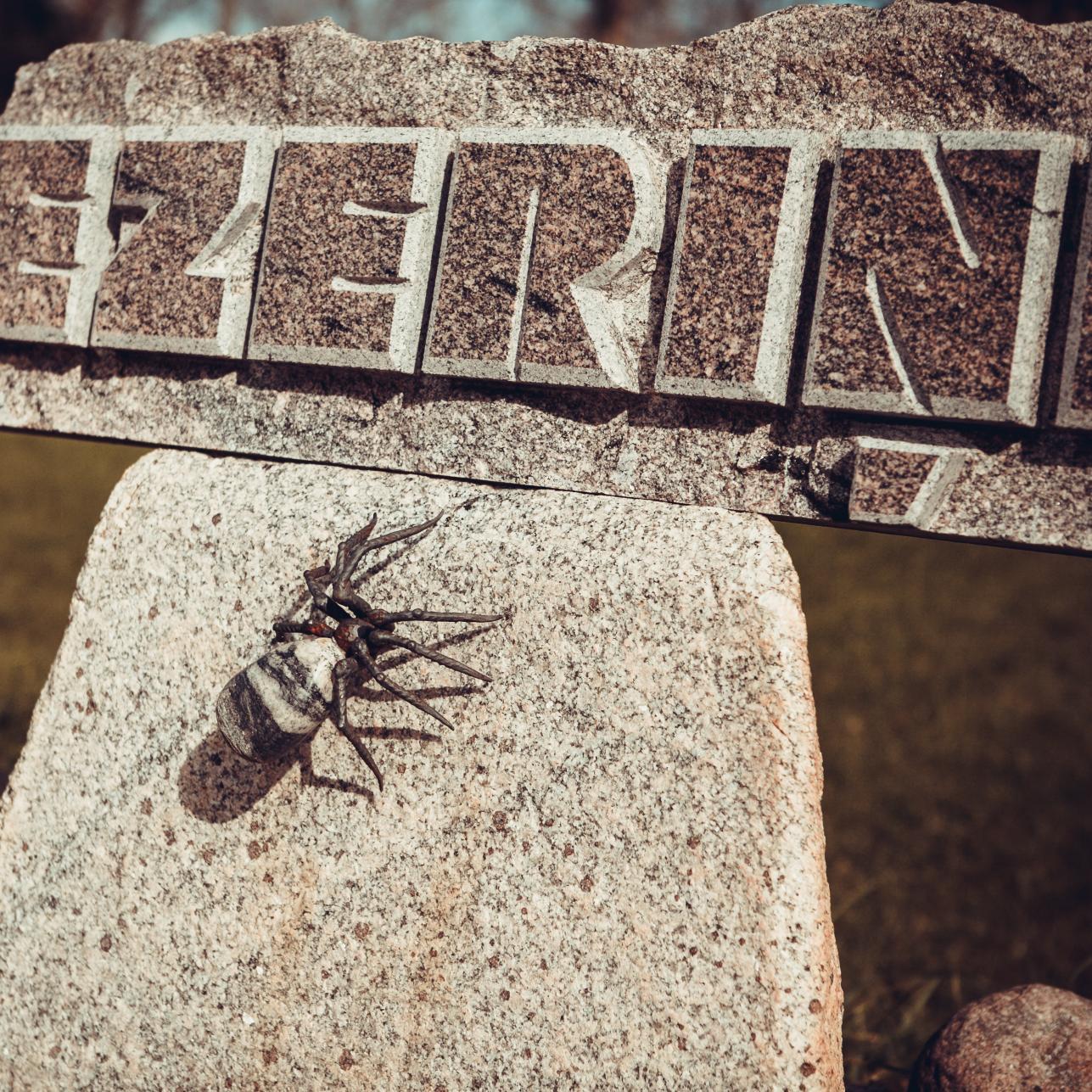 Ezerini_'s profile picture. Ja esi oriģinālu lietu cienītājs, atbrauc pie mums ciemos. Izsaki savas vēlēšanās un mēs izgatavosim lietas tikai Tev - vienā eksemplārā