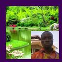 Emmanuel Anim - @30da89ca387b4ce - Twitter