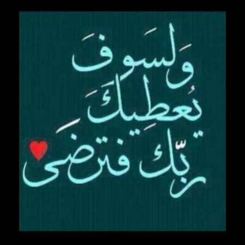 osama_masalmeh's profile picture. 