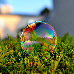 kotek220's profile picture. 