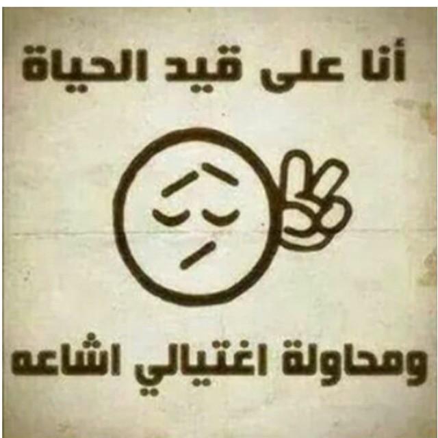 الحساب الرئيسي black100b.                  BBM 2B949880