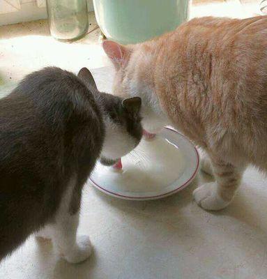 andy_shev's profile picture. украинец в Финляндии