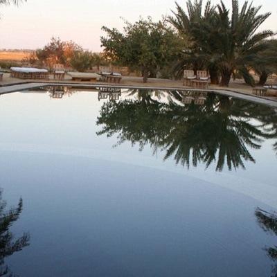 متقاعدمن العمل الرسمي. أعيش الحياة بتفاصيلها وأحب الخير.وارجوالعفو.