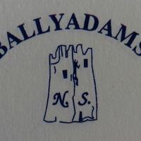Ballyadams N.S. (@ballyadamsns) 's Twitter Profile