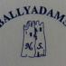 Ballyadams N.S. (@ballyadamsns) Twitter profile photo