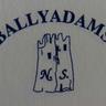 ballyadamsns's profile picture. 4 Mainstream & 2 Special Classes. Primary school in Ballyadams, Co. Laois.
Our School motto  - 'Ní neart go cur le chéile'
Website: https://t.co/JffqTOupAy