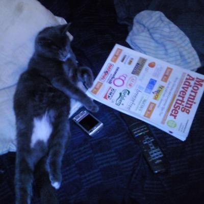 theNAGS_HEAD's profile picture. a friendly local typical pub , jukebox dart board and sky TV :-)