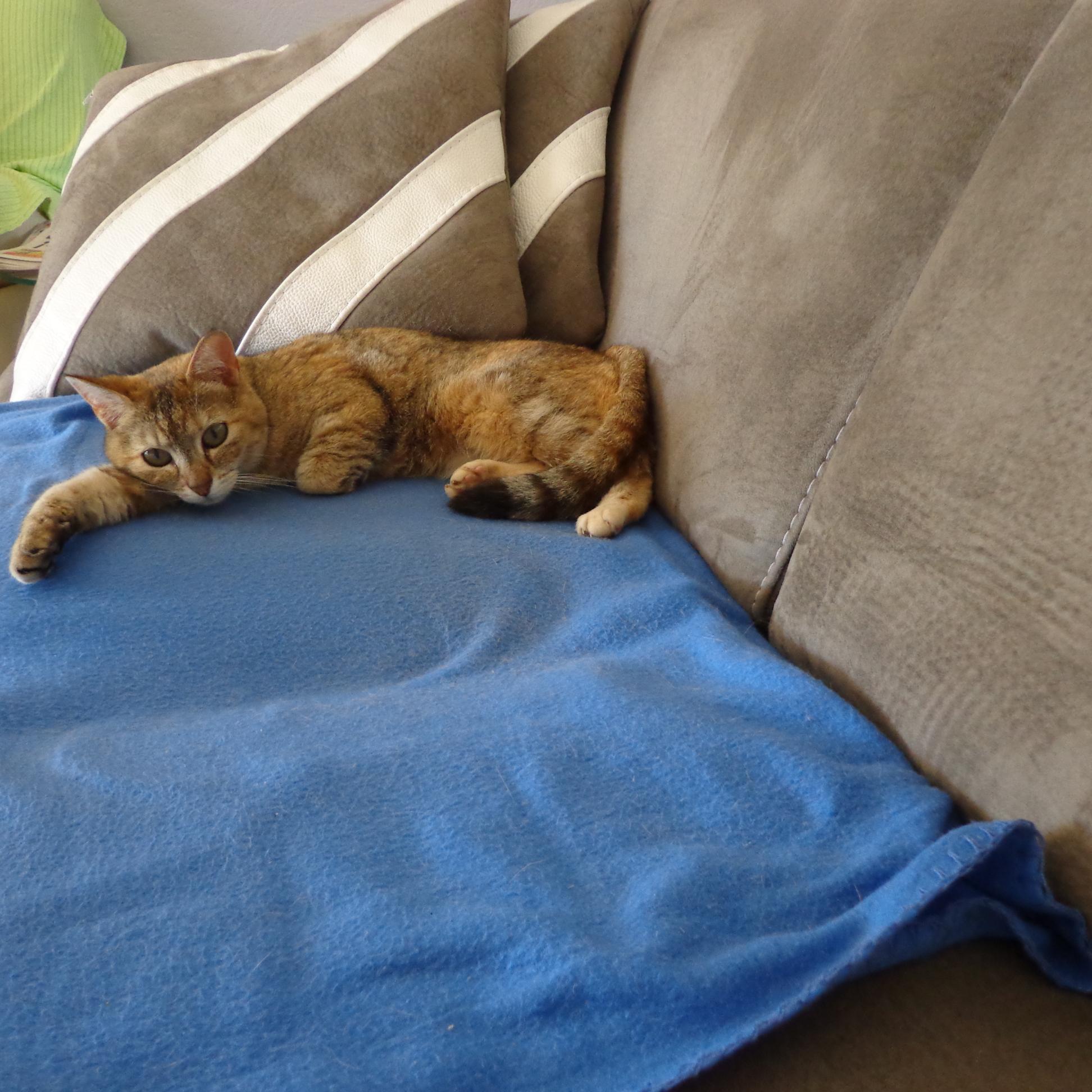 jackdelalonde's profile picture. 