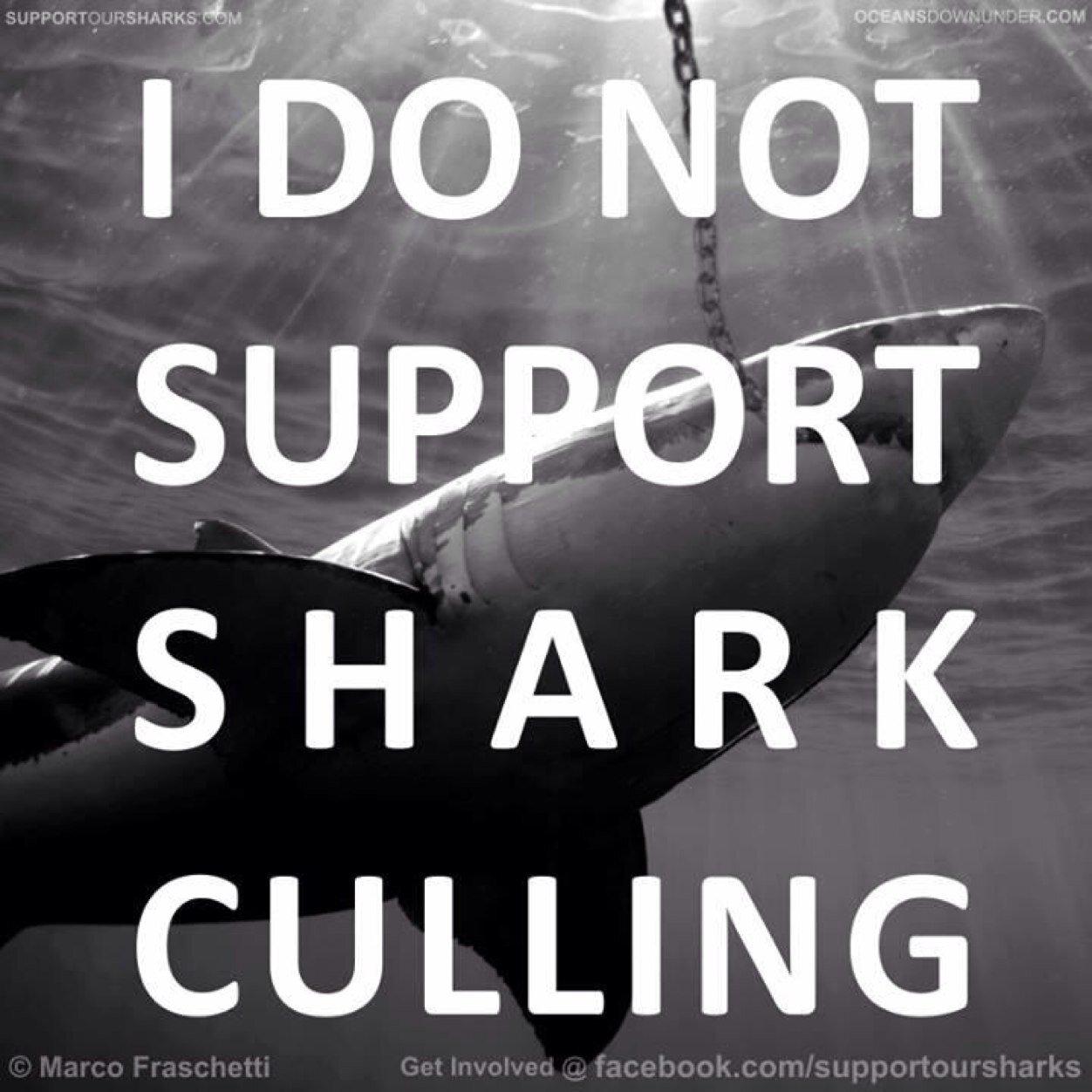 Jody4Psaw's profile picture. Animal cuddling, video gaming, food  obsessing, music loving, eco worrying, science nerding, step-parenting  day hippie.