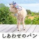 ヘアアレンジ動画を配信します。