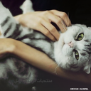 sc0055 (@022_aaax) Twitter