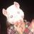 sandragones's profile image