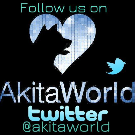 Akita World was set up to unite lovers of the breed from around the world. We aim to promote and protect the Akita breed to our fullest! Join us on Facebook.