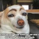 Adele Elliott - @burtinafluffy - Twitter