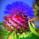 Fiona Beasley - @fiona_beasley - Twitter