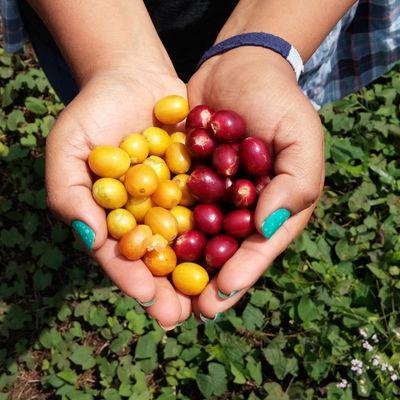 EgleUsonyte's profile picture. 