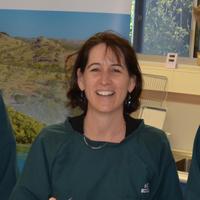 Dr Lori Lach (@lori_lach) 's Twitter Profile Photo