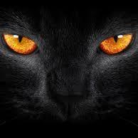 capzeloo's profile picture. 