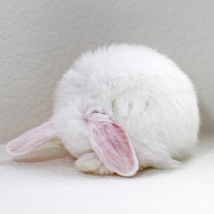 minah_angel94's profile picture. 