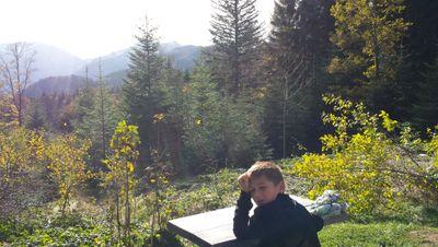 tobigoldi's profile picture. 