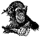 100th Monkey (@100thmonkey) Twitter