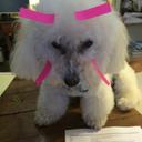 Anthony Crisafi - @tcrisafi - Twitter