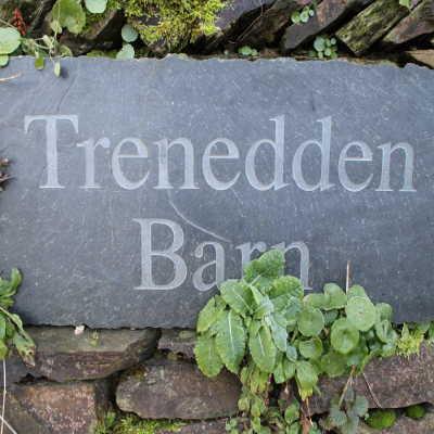 treneddenbarn's profile picture. Holiday in South East Cornwall