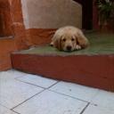 Oswaldo Ramirez - @lacasualidad201 - Twitter