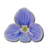 SpeedwellWx's profile image