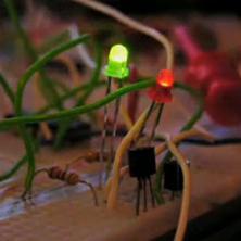 DistoFX's profile picture. DIY Guitar Pedals