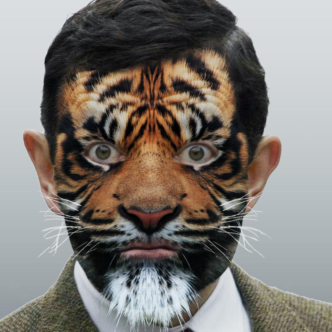 Hallo ik ben Muf. Ik ben gespecialiseerd in het volgen van vele mensen en het verpesten van mensen hun foto's met Adobe Photoshop CC/CS6 :D