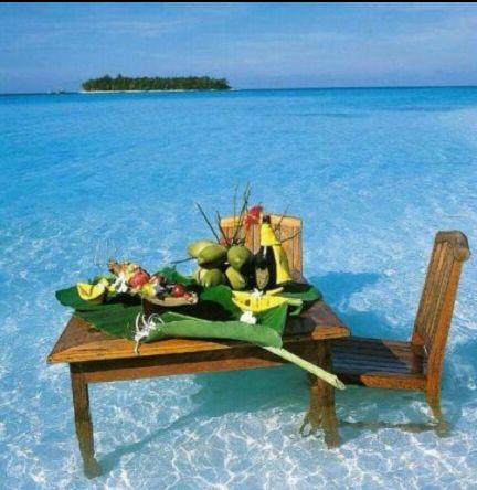 alassh2020's profile picture. 