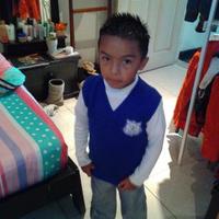 Paola Bernate (@cee9efd84add46c) 's Twitter Profile