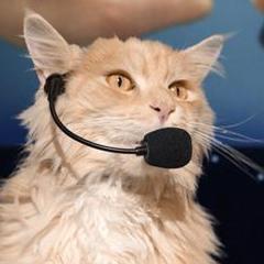 LauraJohnsonO2's profile picture. Member of the New Business Development Team direct @O2