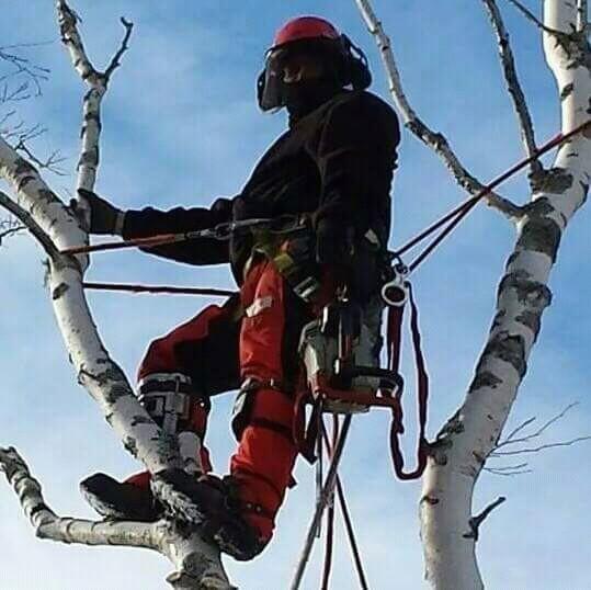 mac_052's profile picture. 