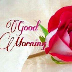 preet42085's profile picture. 