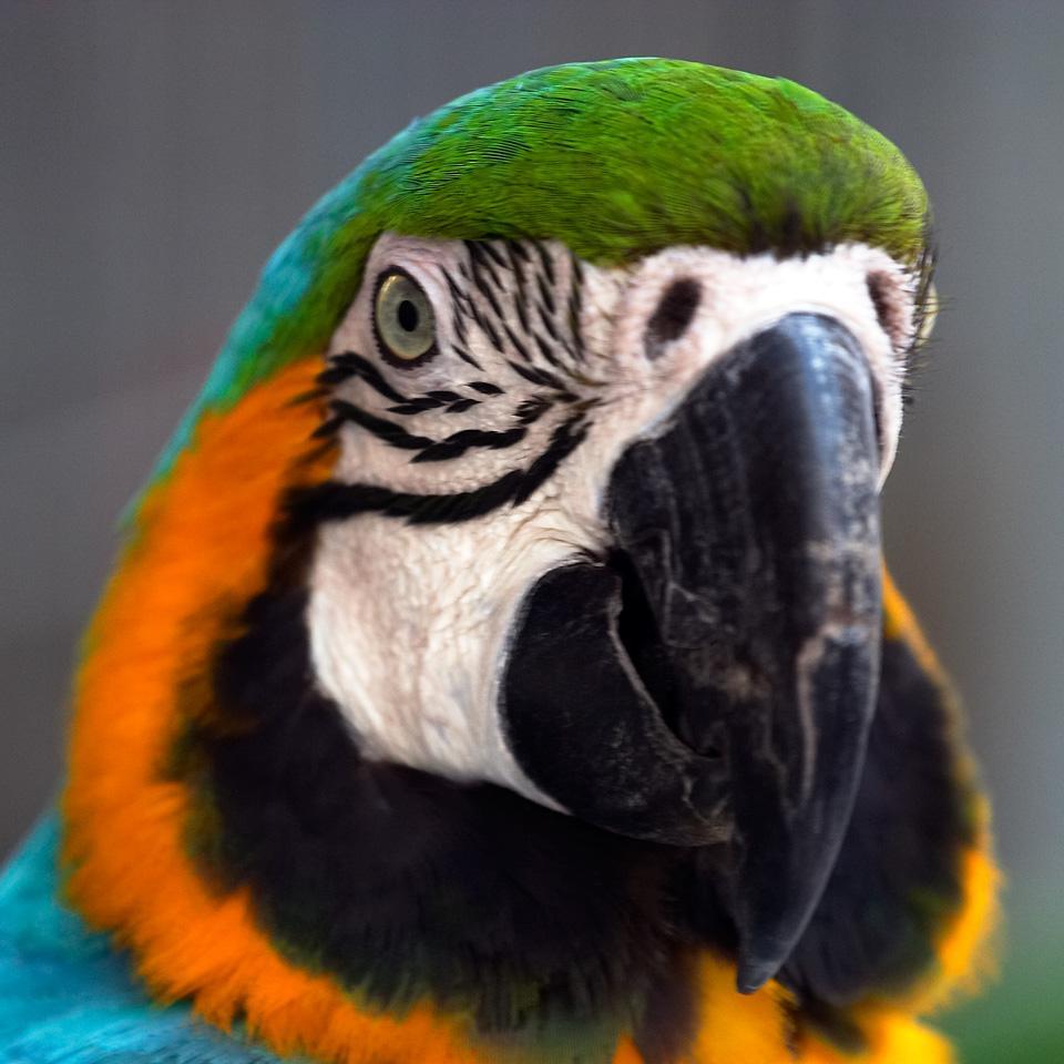 Batistakis's profile picture. 