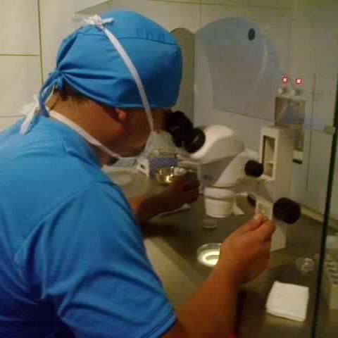 Embriólogo Genetista