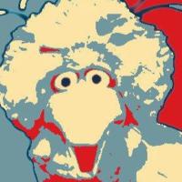 Barry Moran (@barrybigbird) 's Twitter Profile