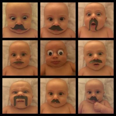 nationalripley's profile picture. Did you know everyday there is a National Holiday? Ripley does, and he want to prove it by letting you know every holiday for 2015.