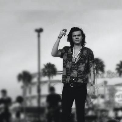Please help me get this tweet to Harry, it would mean the world to me if he said yes!!!