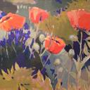 Laura Coffey - @LoraCoffey - Twitter