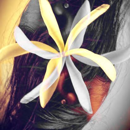 Nothing Special!