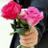 c9fad64f3bc24c1's profile image