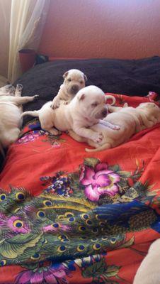 TitorGonzalez's profile picture. 