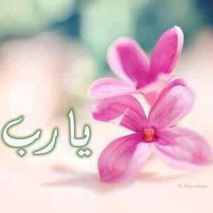 كلنا يداً بيد من أجل الوطن .. دمت ياوطني شامخاً رغم كيد الأعداء🇸🇦