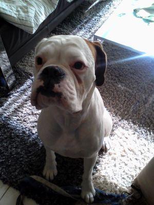 charly_chine's profile picture. Joueur radin malin, Eco+ Gaming