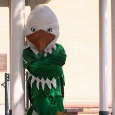 The Dirty Bird on Deck.